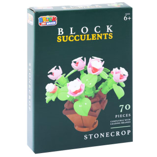 423033-block-succulents-stonecrop