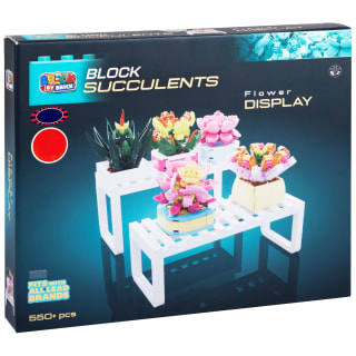 423265-block-succulents-flower-display