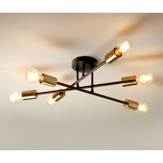 423273-black-and-satin-brass-light