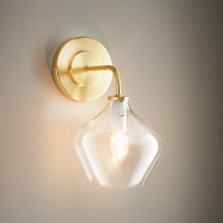 423290-glass-pendant-wall-light