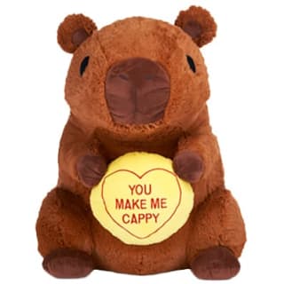 423423-30inch-love-hearts-capybara