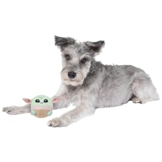 423587-3_5in-squeaky-plush-dog-toy-2