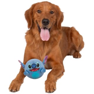423587-3_5in-squeaky-plush-dog-toy-3