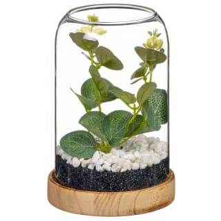 423824-eucalyptus-in-rounded-glass-jar-with-wooden-base