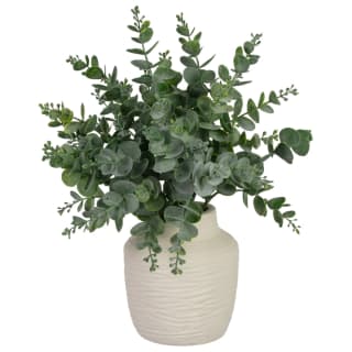 423835-eucalyptus-in-ribbed-cream-pot