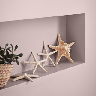 423893-crown-easyclean-bathroom-mid-sheen-emulsion-2_5l-pashmina-3