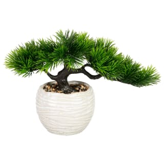 423997-small-bonsai-in-ribbed-pot