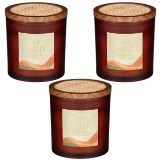 424001-warm-earth-tonka-and-copal-scented-candle