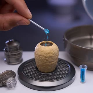 424045-mini-verse-make-it-mini-dinosaurs-2