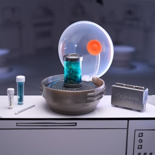 424045-mini-verse-make-it-mini-dinosaurs-4