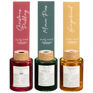 424063-christmas-pudding-diffuser-group