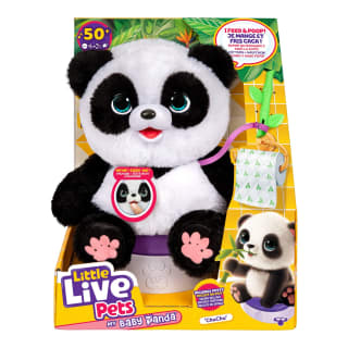 424130-baby-panda-10