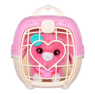 424133-scruff-a-luv-6