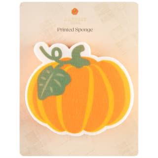 424515-harvest-printed-sponge-pumpkin