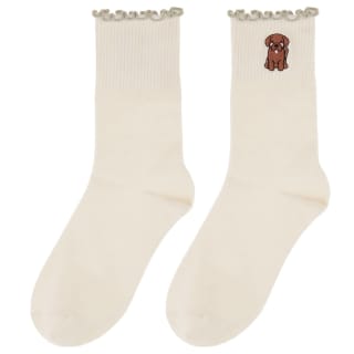 424657-dog-breeds-socks-4