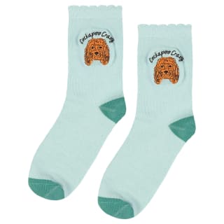 424657-dog-socks-cockapoo-crazy-2
