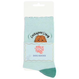 424657-dog-socks-cockapoo-crazy