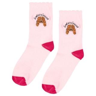424657-dog-socks-sweet-as-a-sausage-2