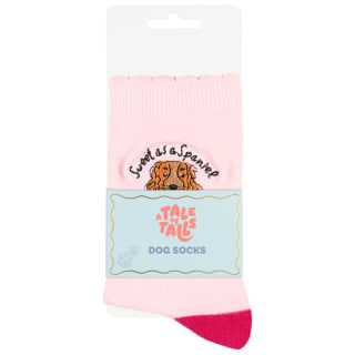 424657-dog-socks-sweet-as-a-sausage