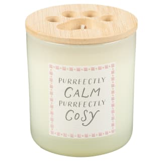 424672-cat-slogan-candle-calm