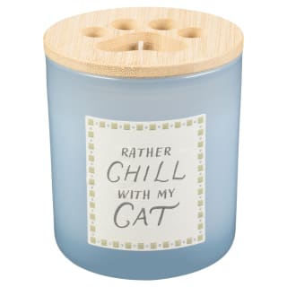 424672-cat-slogan-candle-chill-2