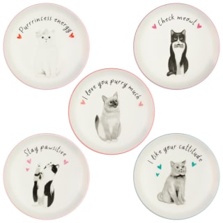 424702-cat-trinket-dish-group