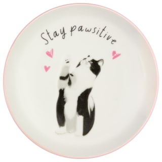 A Tale of Tails Cat Trinket Dish - Stay Pawsitive