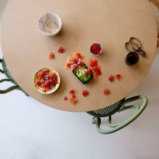 425768-lego-botanicals-japanese-maple-tree-4