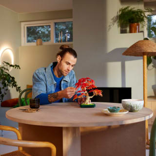 425768-lego-botanicals-japanese-maple-tree-7