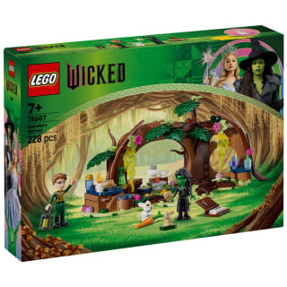 425834-lego-wicked-elphabas-retreat-8