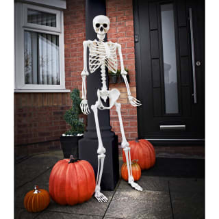 Halloween Nights Poseable Skeleton 5ft