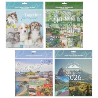 Plan It Calendar & Diary 2026 - Assorted