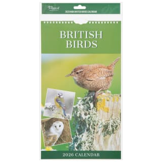 425867-midi-calendar-2026-british-birds-21