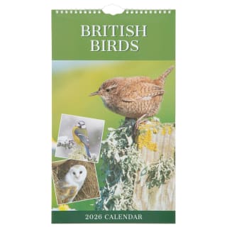 425867-midi-calendar-2026-british-birds1