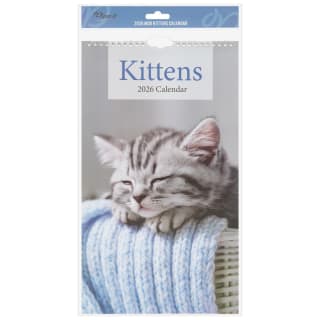 425867-midi-calendar-2026-kittens-21