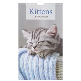 425867-midi-calendar-2026-kittens1