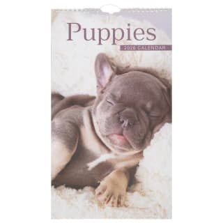 425867-midi-calendar-2026-puppies1