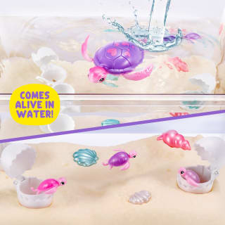 425966-mama-turtle-surprise-11