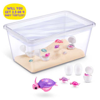 425966-mama-turtle-surprise-3
