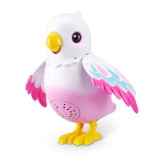 425967-magic-bird-surprise-10