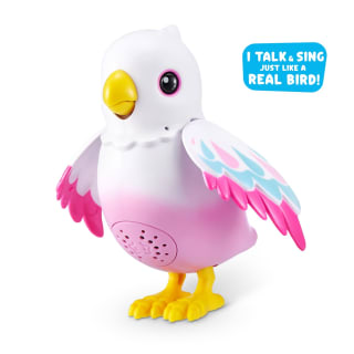 425967-magic-bird-surprise-11