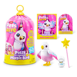 425967-magic-bird-surprise-2