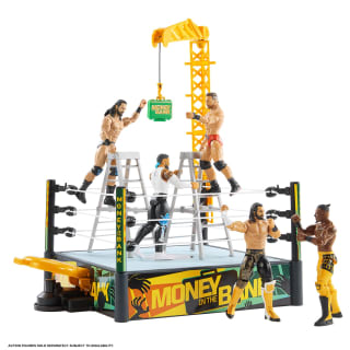 425981-wwe-money-in-the-bank-ring-2