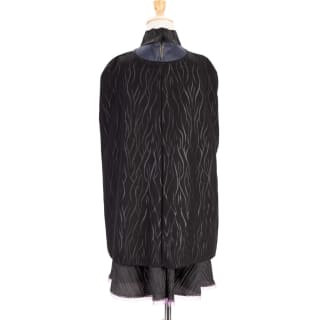 426083-elphaba-dress-up-2