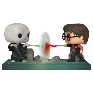 426390-pop-moment-harry-voldemort-2