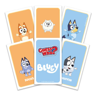 426835-guess-who-bluey-8