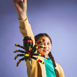 427736-wild-animal-surprising-spider-6