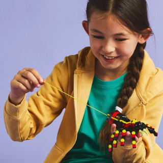 427736-wild-animal-surprising-spider