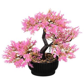 Pink Bonsai Tree