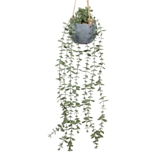 428735-concrete-hanging-foliage-2